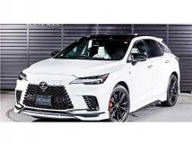 2025 Lexus RX