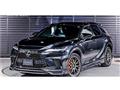 2025 Lexus RX