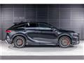 2025 Lexus RX