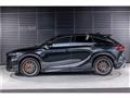2025 Lexus RX