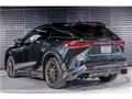 2025 Lexus RX