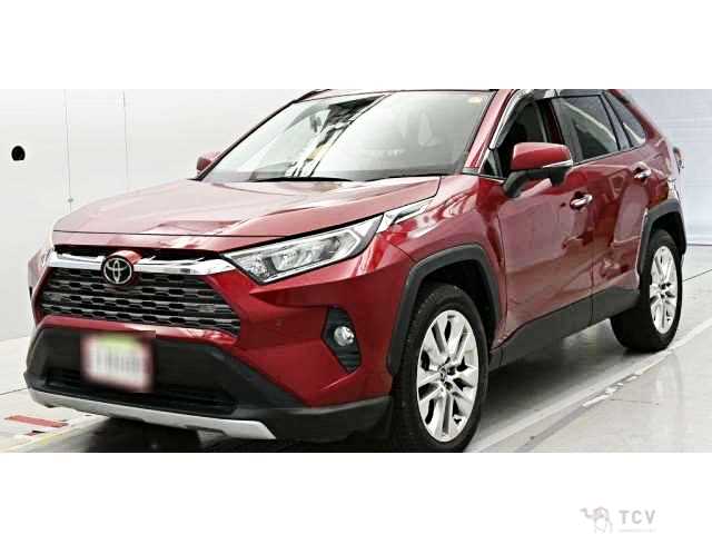 2019 Toyota RAV4
