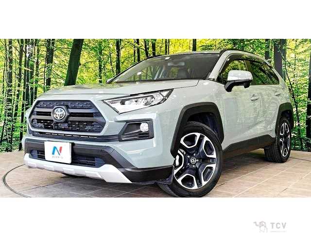 2019 Toyota RAV4