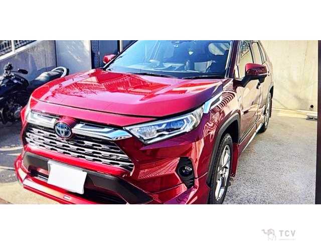 2019 Toyota RAV4