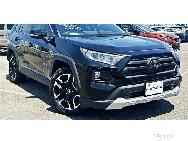 2019 Toyota RAV4