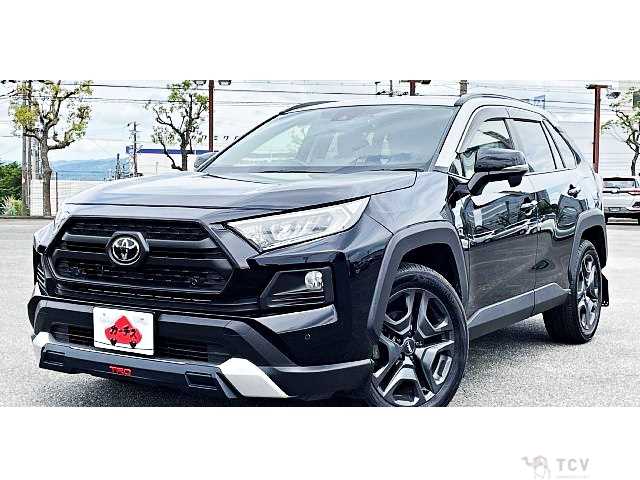 2019 Toyota RAV4