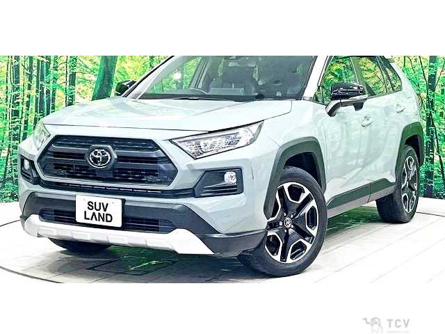 2019 Toyota RAV4