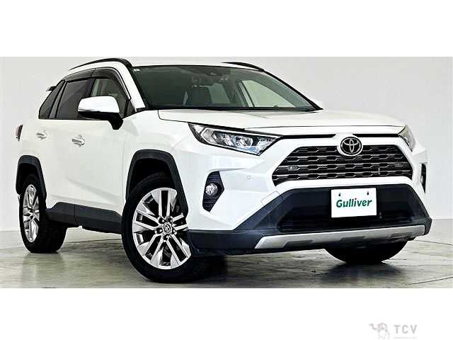 2019 Toyota RAV4