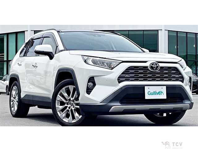 2019 Toyota RAV4
