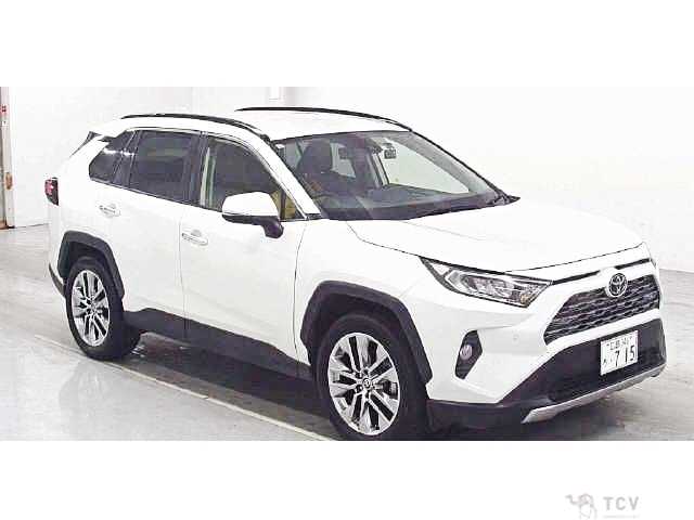 2019 Toyota RAV4