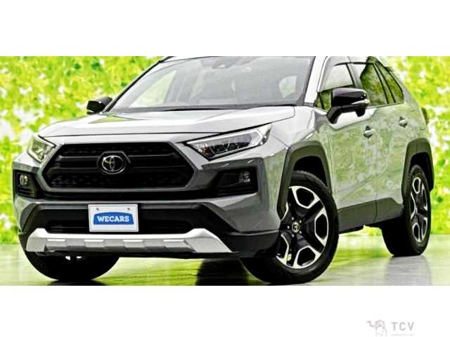 2019 Toyota RAV4