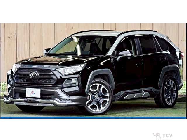 2019 Toyota RAV4