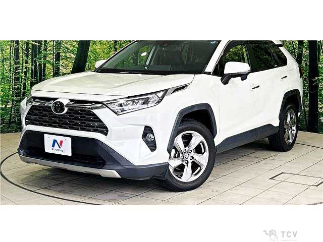 2020 Toyota RAV4