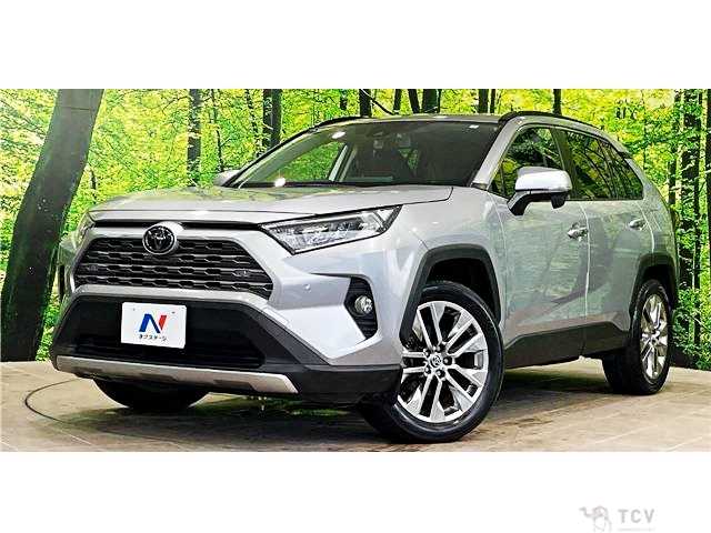 2020 Toyota RAV4