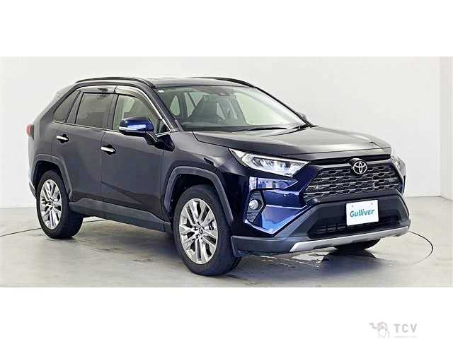 2020 Toyota RAV4