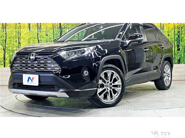 2020 Toyota RAV4