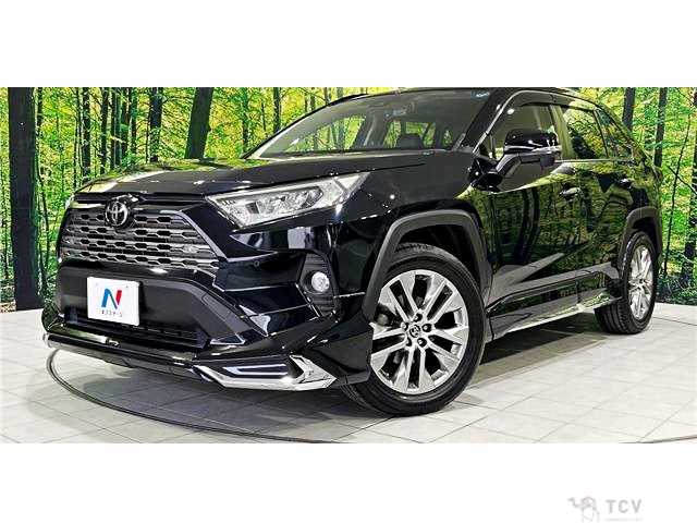 2020 Toyota RAV4