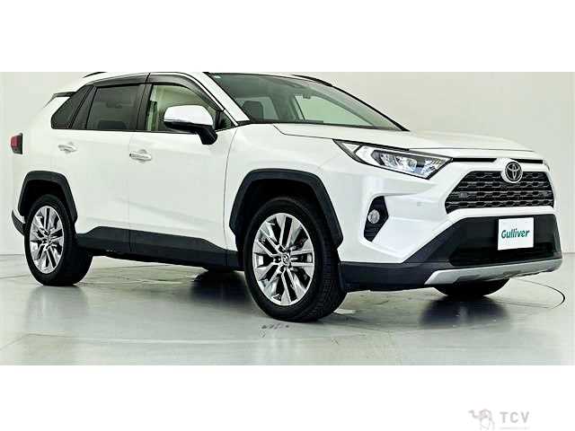 2020 Toyota RAV4