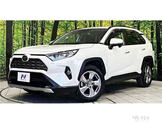 2020 Toyota RAV4
