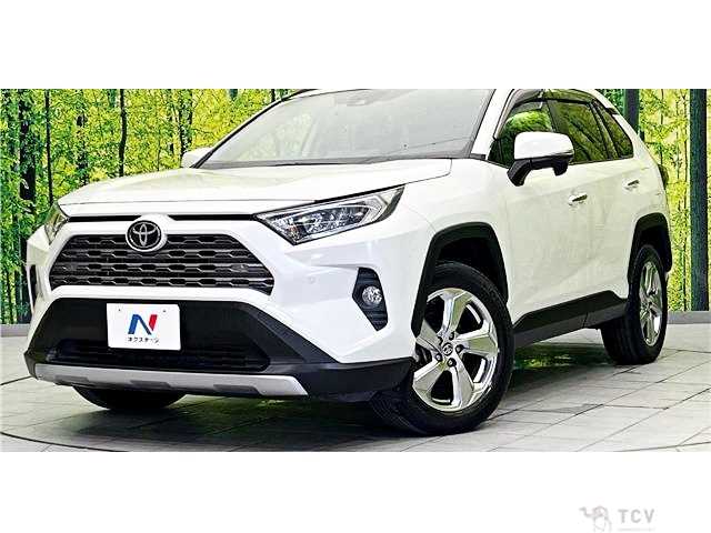 2020 Toyota RAV4