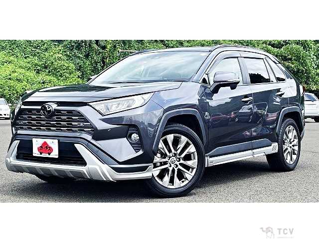 2020 Toyota RAV4