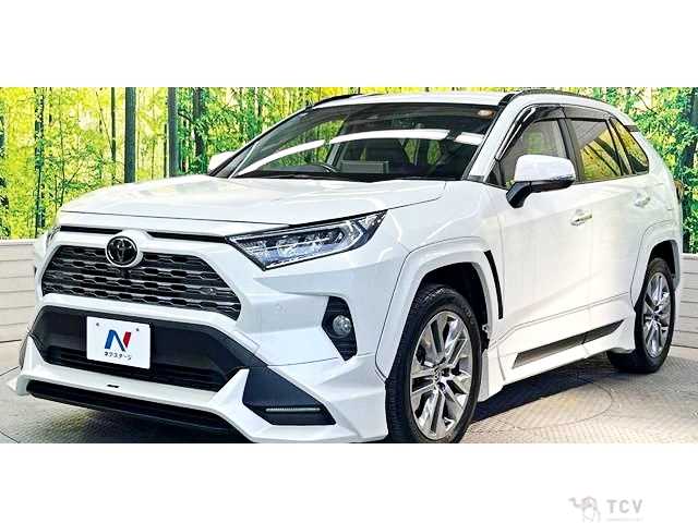 2020 Toyota RAV4