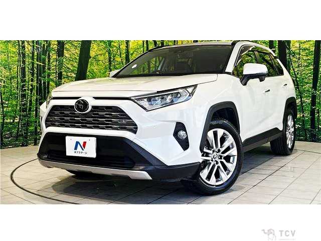 2020 Toyota RAV4