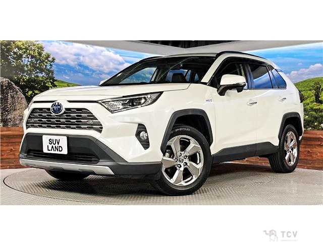 2020 Toyota RAV4
