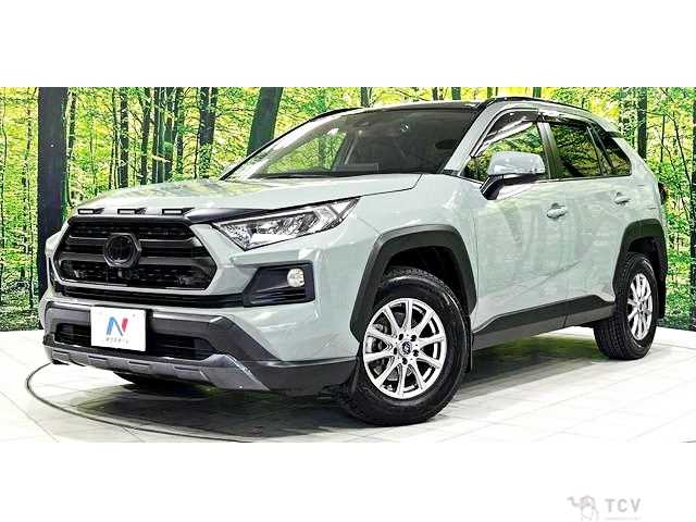 2020 Toyota RAV4