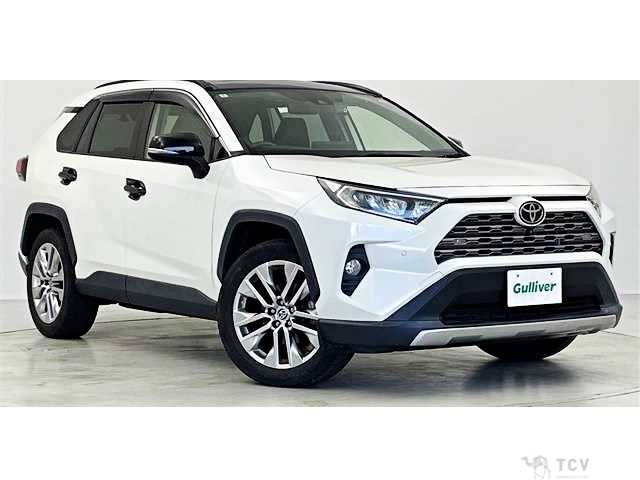 2021 Toyota RAV4