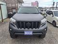 2015 Toyota Land Cruiser Prado