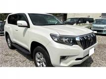 2019 Toyota Land Cruiser Prado