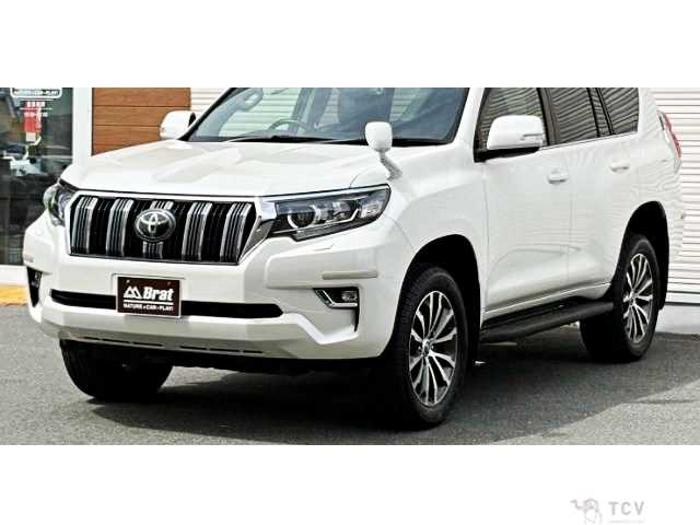 2019 Toyota Land Cruiser Prado