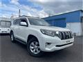 2019 Toyota Land Cruiser Prado