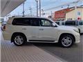 2010 Toyota Land Cruiser