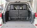 2010 Toyota Land Cruiser
