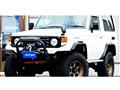 1999 Toyota Land Cruiser