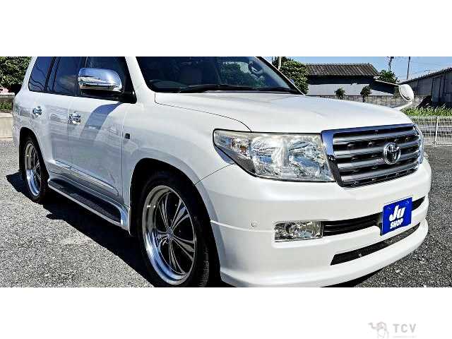 2010 Toyota Land Cruiser