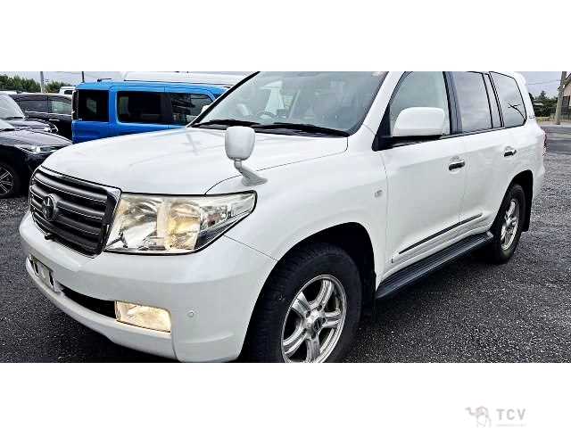 2010 Toyota Land Cruiser