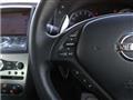 2010 Nissan Skyline