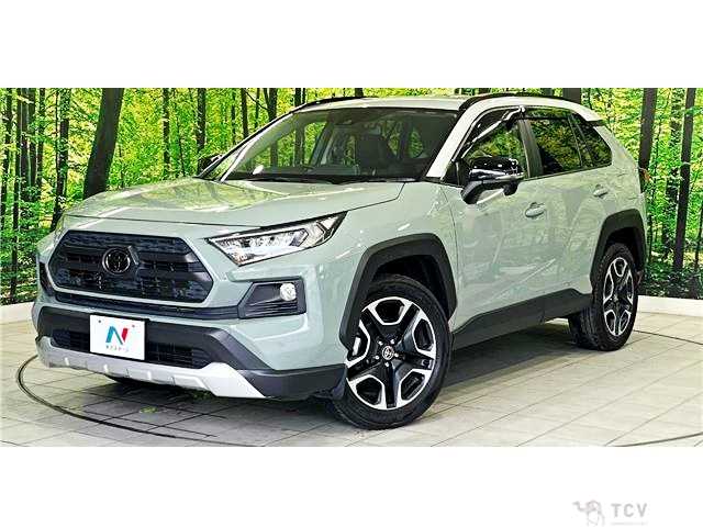 2019 Toyota RAV4
