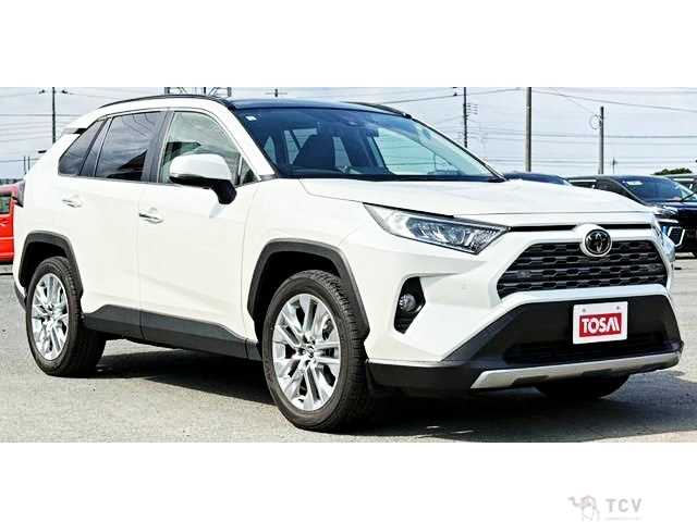 2019 Toyota RAV4