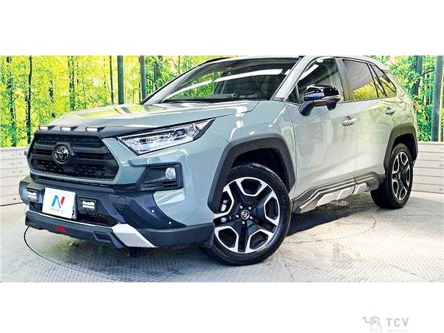 2019 Toyota RAV4