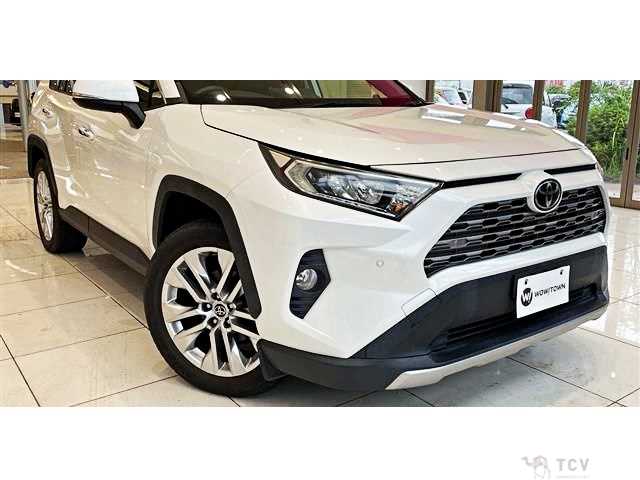 2019 Toyota RAV4