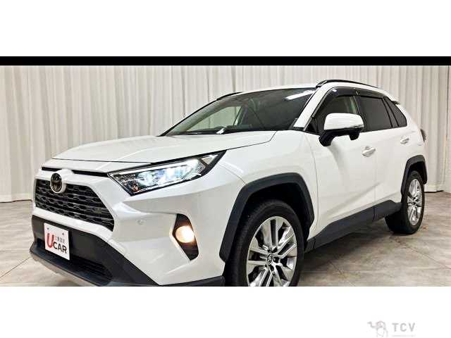 2019 Toyota RAV4