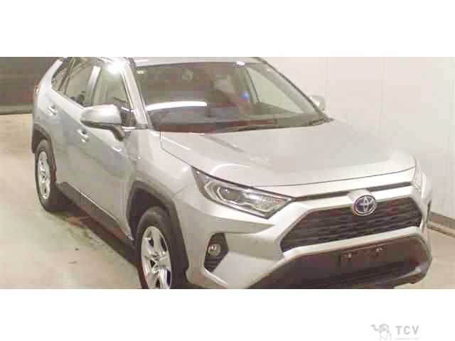 2019 Toyota RAV4