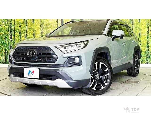 2019 Toyota RAV4