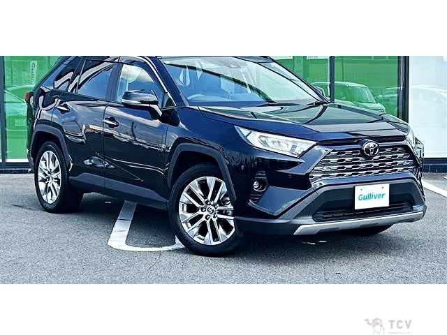 2019 Toyota RAV4