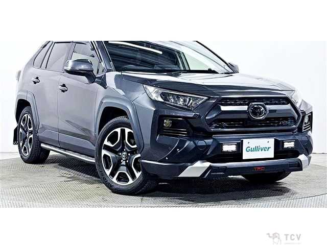 2019 Toyota RAV4