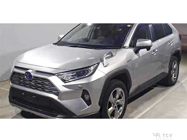 2019 Toyota RAV4